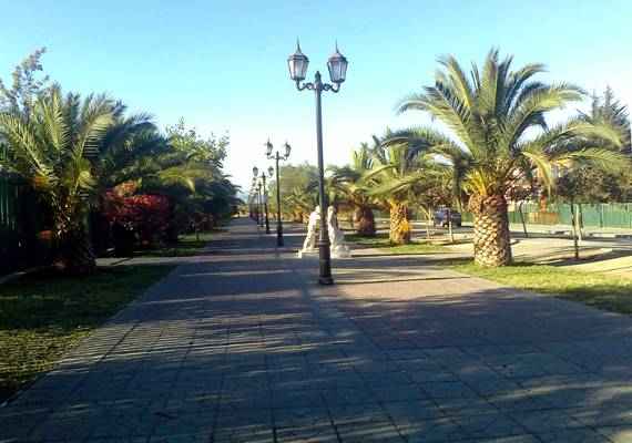 Catre Clínico, La Granja